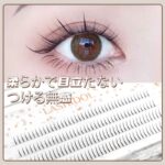 LASHIDOL つけまつげ 下 ナチュラル ポイントフィット 自宅セルフマツエクエクステ 下まつげ 大容量 160束入 5-6 mm (ミモザ マツエク, ブラック)
