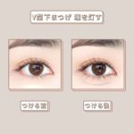 LASHIDOL 部分つけまつげ 下 ナチュラル 自宅セルフマツエクエクステ 部分つけまつ毛 下まつげ (あやめ マツエク, ブラック)