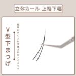 LASHIDOL 部分つけまつげ 下 ナチュラル 自宅セルフマツエクエクステ 部分つけまつ毛 下まつげ (あやめ マツエク, ブラック)