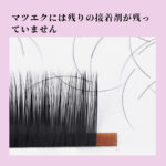 LASHIDOL マツエク 1秒開花 まつげエクステ まつ毛エクステ専用 ビューティーショップ専用 太さ0.07mm Cカール 長さ7-13mm混合 12列の大容量 混合 上質で柔らかく 安定したカール 根元が散らない 変形しにくく 持続性 - 画像 (3)